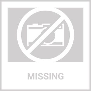 Penn State Single Rung Chrome Bar Stool w/Backrest